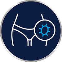 Svampen trivs i varma, fuktiga miljöer